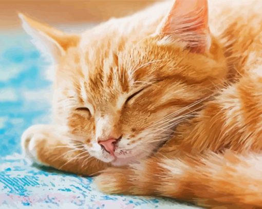 Sleepy Orange Tabby Cat paint by numbers