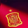 Spanish National Team Logo paint by numbers