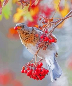 A Bird Eating Rowanberry paint by numbers