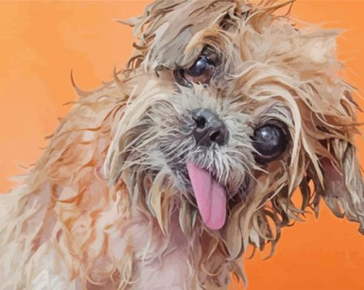 Adorable Wet Dog paint by numbers