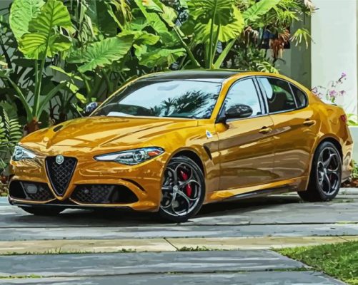 Alfa Romeo Giulia Car paint by numbers