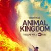 Animal Kingdom Movie Poster paint by numbers