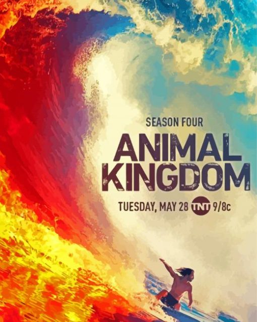 Animal Kingdom Movie Poster paint by numbers