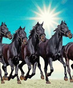 Black Seven Running Horses At Sunrise paint by numbers