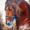 Brown Horse Head Art paint by numbers