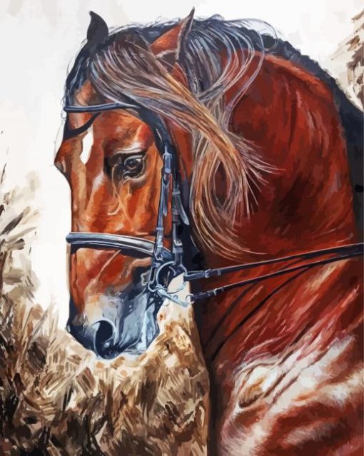 Brown Horse Head Art paint by numbers