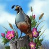 California Quail Bird And Flowers paint by numbers