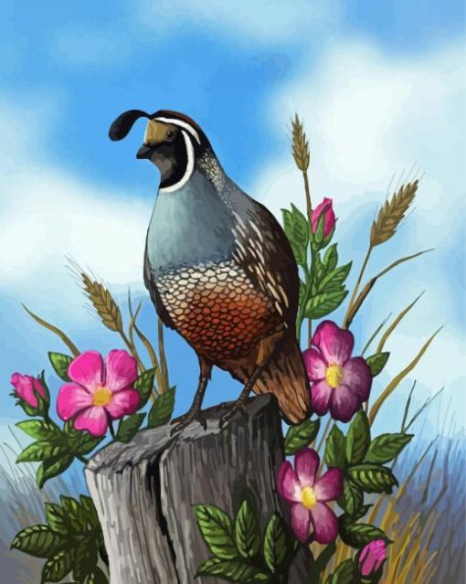 California Quail Bird And Flowers paint by numbers