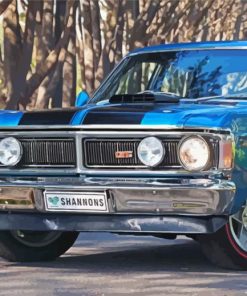 Classic Falcon GT paint by numbers