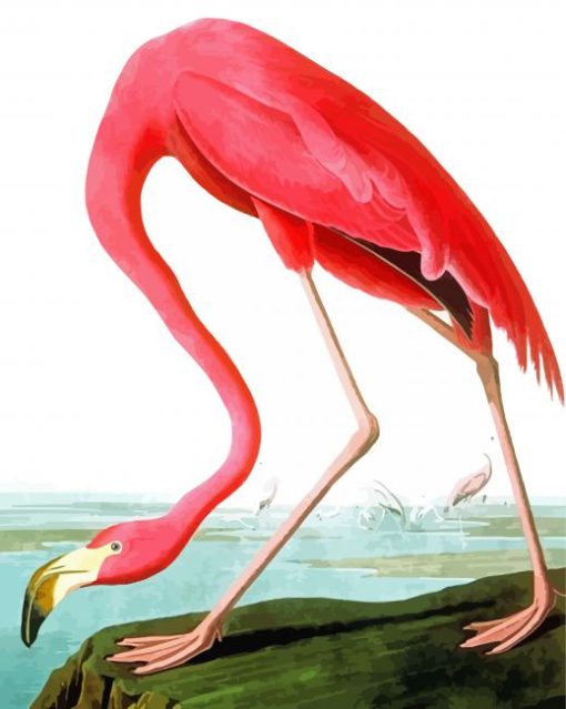 Flamingo John James paint by numbers