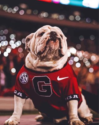 Georgia Bulldog paint by numbers