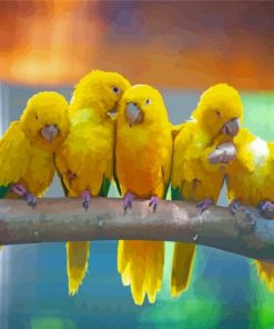 Golden Conures Row paint by numbers