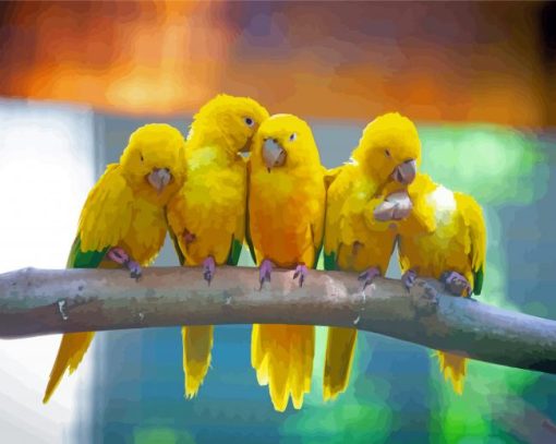 Golden Conures Row paint by numbers