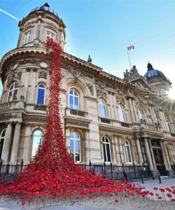Hull Maritime Museum With Poppies paint by numbers
