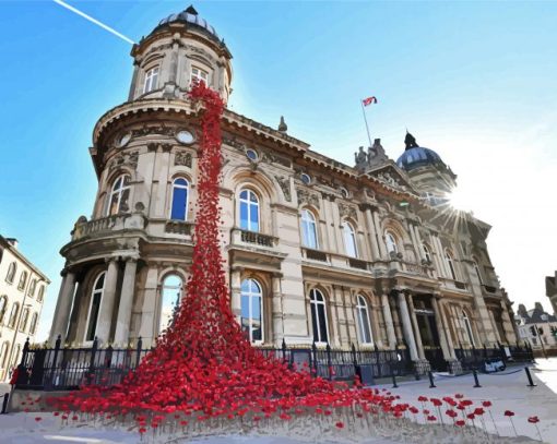 Hull Maritime Museum With Poppies paint by numbers