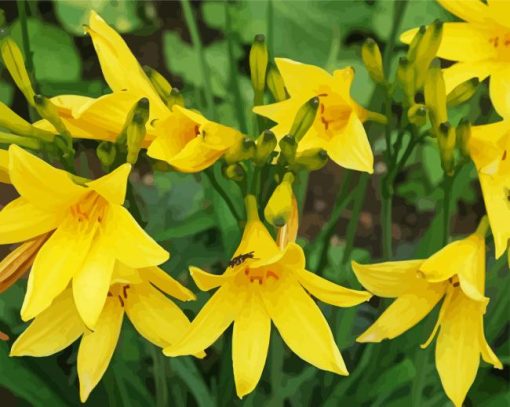 Long Yellow Daylilies paint by numbers