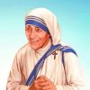 Mother Teresa Art paint by numbers