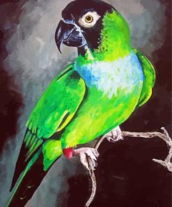 Nanday Conure Parrot Art paint by numbers