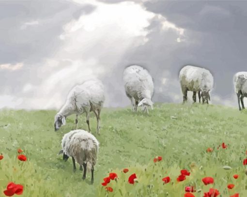 Sheep In An Poppy Field paint by numbers