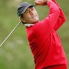 Spanish Golfer Seve Ballesteros paint by numbers