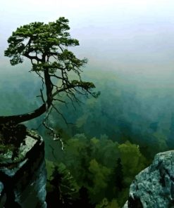 Tree On Cliff In Mountain paint by numbers