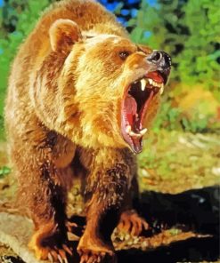 Angry Bear Wild Animal paint by numbers