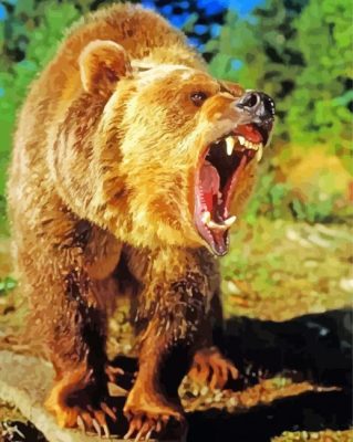 Angry Bear Wild Animal paint by numbers