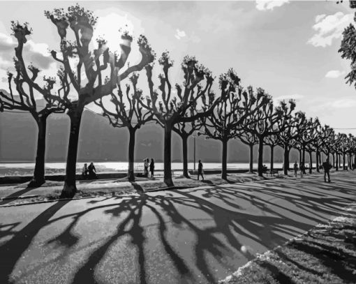 black And White Aix Les Bains Boardwalk paint by numbers