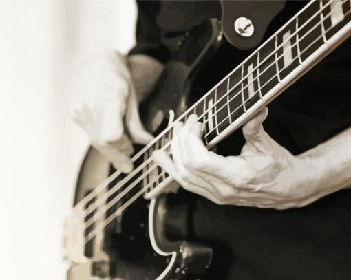 Black And White Bass Guitar Player paint by numbers
