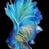 Blue Betta paint by numbers