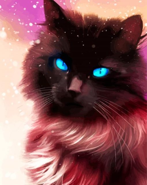 Fluffy Black Cat With Blue Eyes paint by numbers