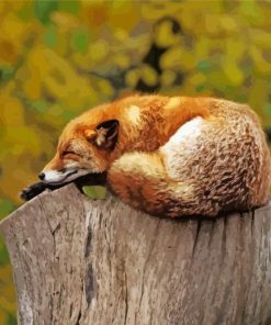 Fox Sleeping On Tree Stumps paint by numbers