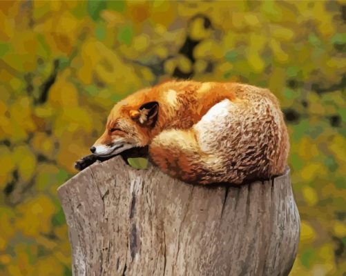 Fox Sleeping On Tree Stumps paint by numbers