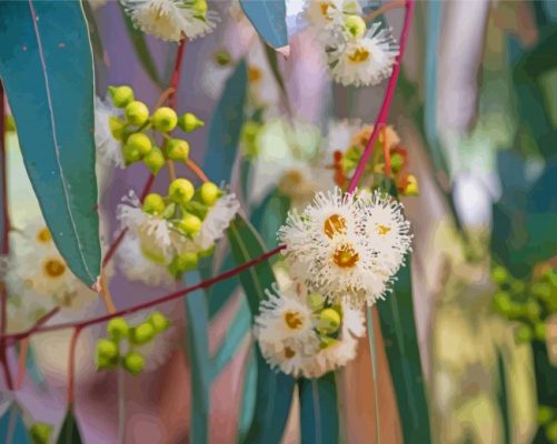 Gumtree Flowers paint by numbers