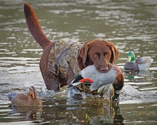 Labrador Hunting Bird Animal paint by numbers