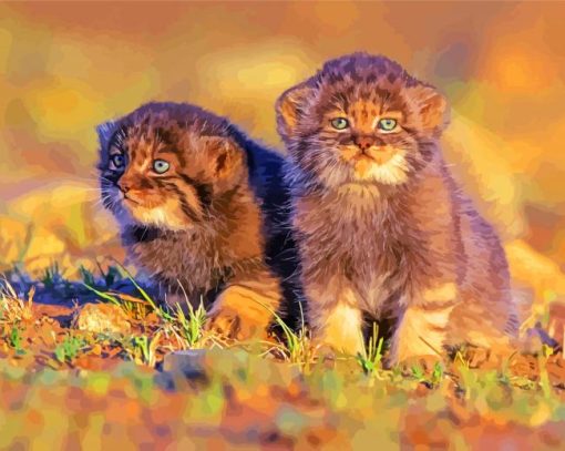 Manul Kittens paint by numbers