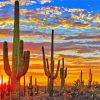 Mexican Desert Cactus At Sunset paint by numbers
