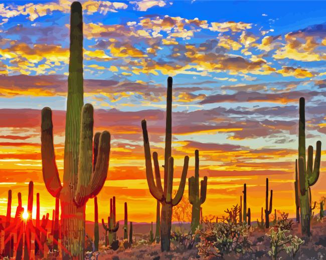 Mexican Desert Cactus At Sunset paint by numbers