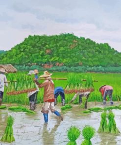 Rice Planting Field paint by numbers