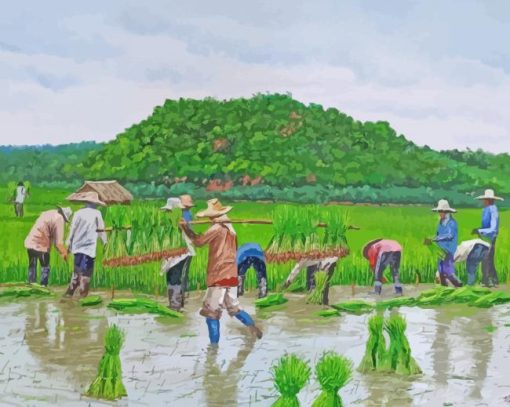 Rice Planting Field paint by numbers
