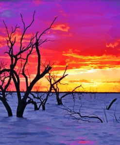 Sunset Menindee Lake paint by numbers