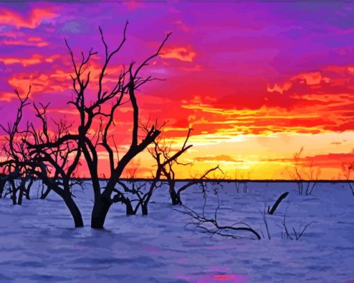Sunset Menindee Lake paint by numbers