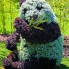 Topiary Panda paint by numbers