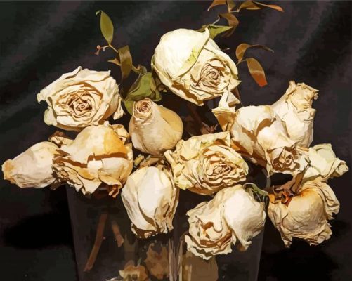 White Dying Rose paint by numbers