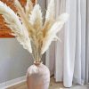 White Pampas Grass paint by numbers