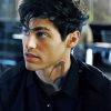 Alec Lightwood Shadowhunters Actor paint by numbers