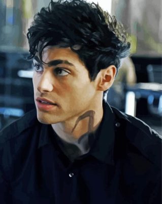 Alec Lightwood Shadowhunters Actor paint by numbers