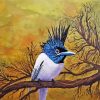 Asian Paradise Flycatcher Bird paint by numbers