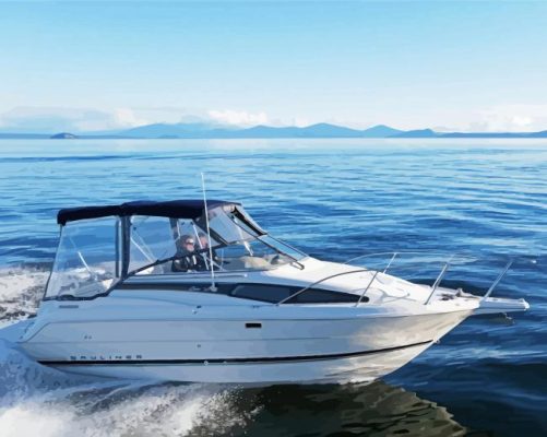 Bayliner Boat Sea paint by numbers