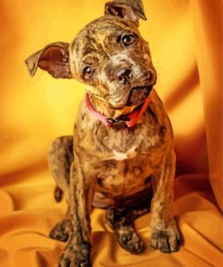 Brindle Pitbull Puppy Dog paint by numbers